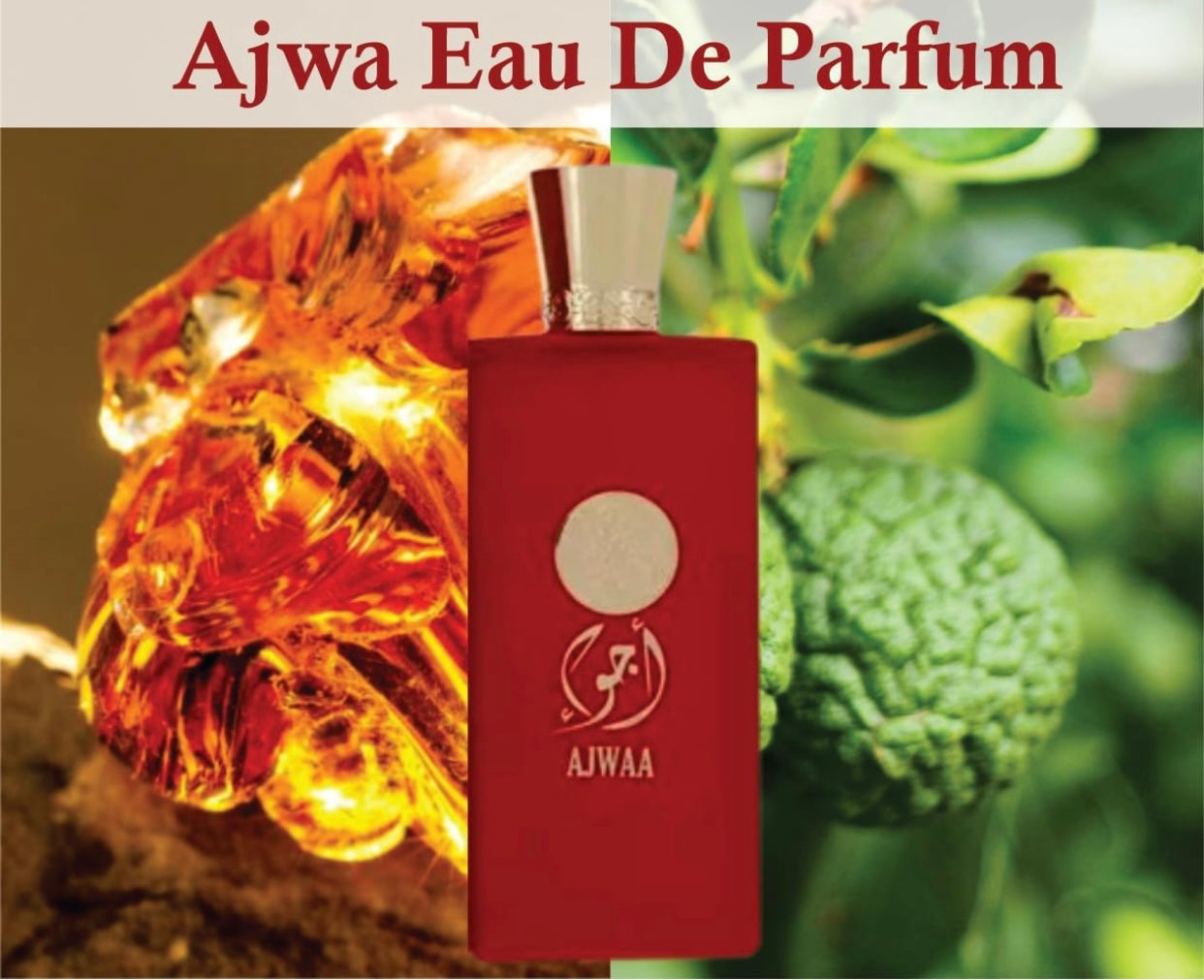 Ajwaa Murakaz Concentrated Red Nusuk | Ajwa Edp Eau de Parfum for Men and Women 100ml| Sandalwood, Bergamot and Cedar Fragrance